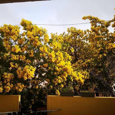 Appartement Proche Mer Avec Terrasse Et Jardin Privatif Hyères Exterior foto